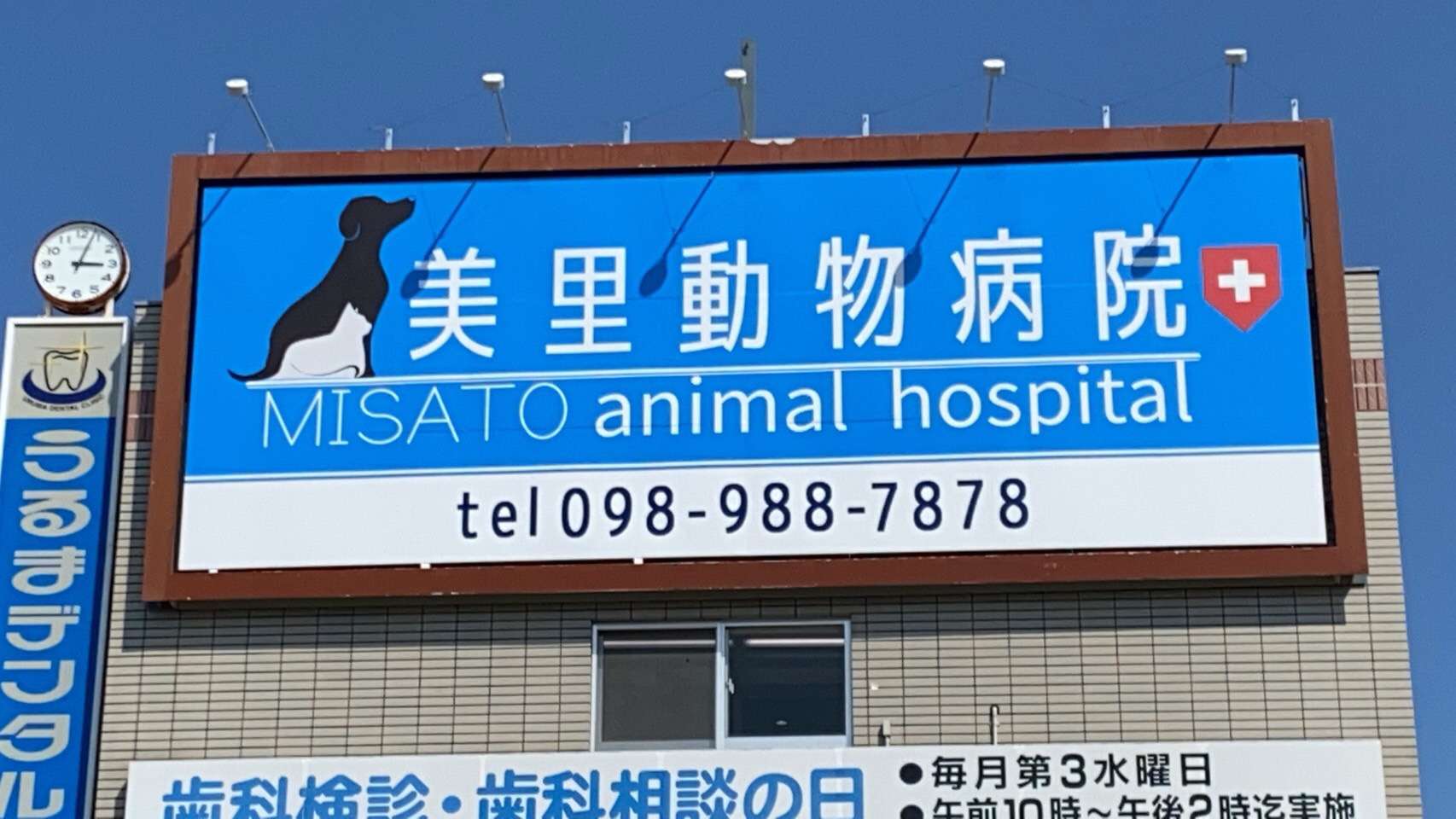美里動物病院